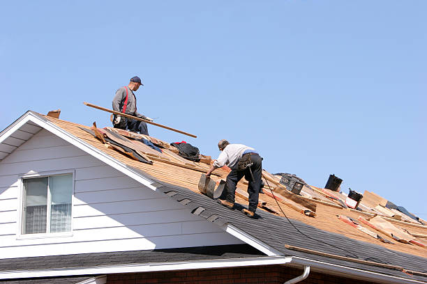 Best Roof Ventilation Installation  in Cape St Claire, MD